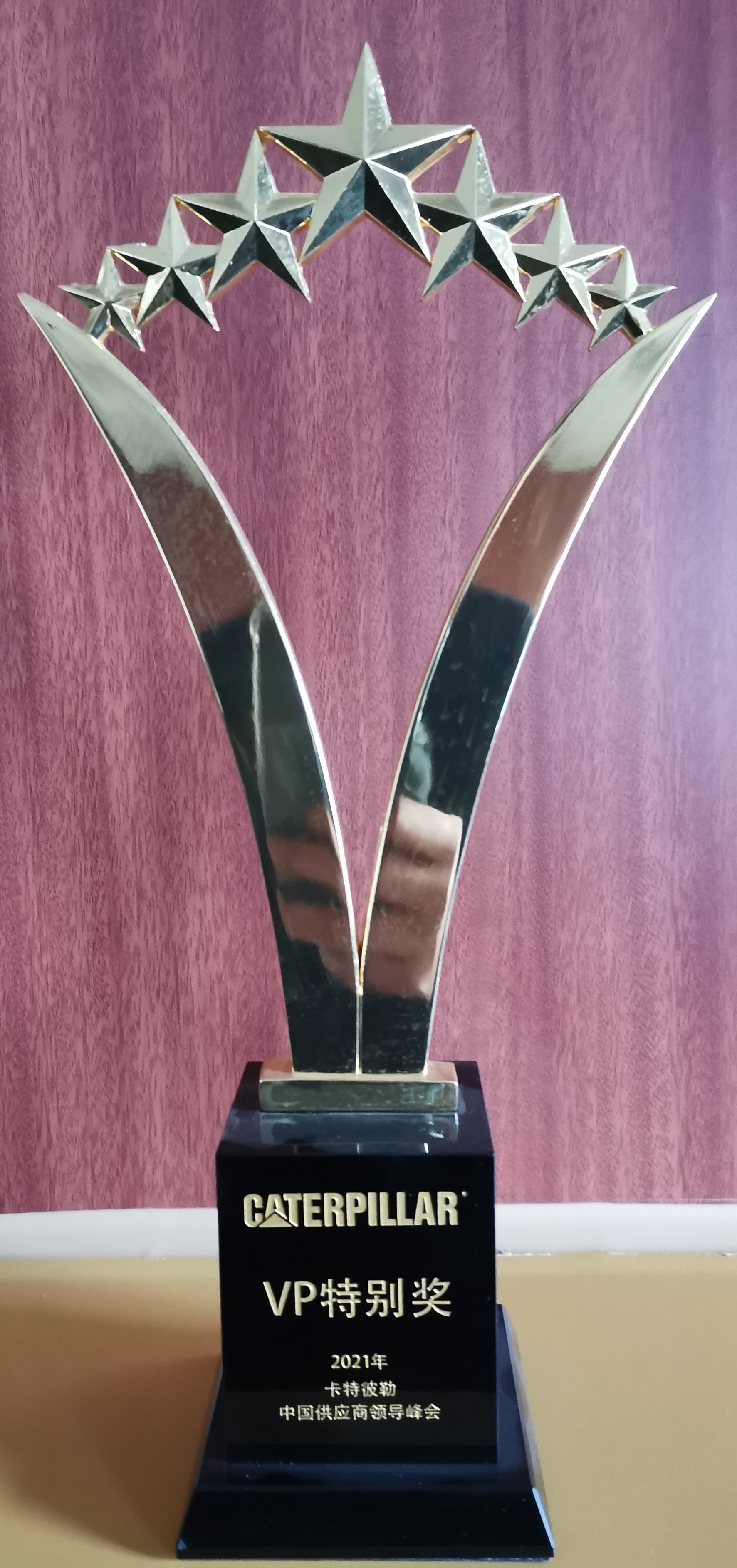 VP特别奖.jpg VP特别奖.jpg